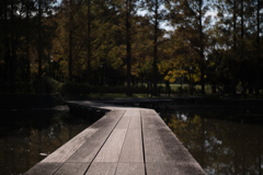 水元公園