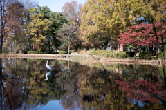 水元公園