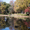 水元公園