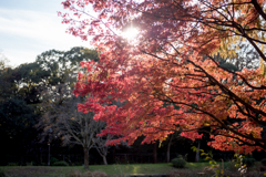 水元公園