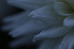 0U1A6882