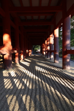 タイムトンネル