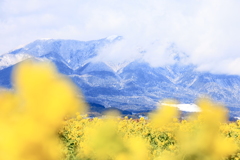 花と山