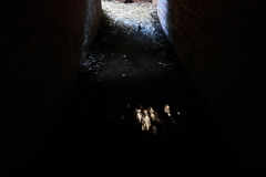 秘密基地の通路