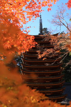 紅葉と塔