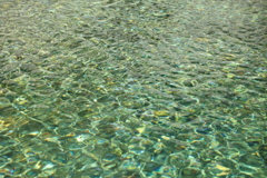 水面