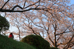 見上げれば