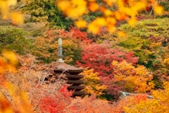 談山神社のぞいちゃった