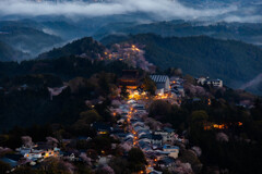 展望台から