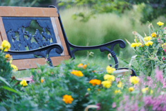 Fantasy chair