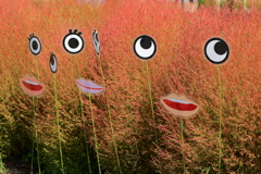 見てるよ