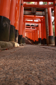千本鳥居