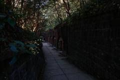秘密基地