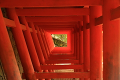 抜けたら