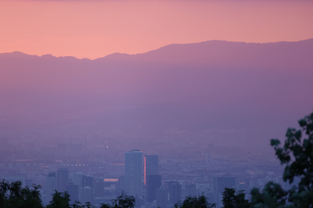 ビルの夕暮れ