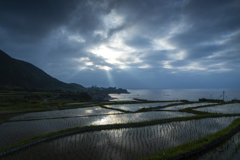袖志の棚田