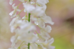 雫