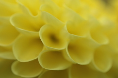 0U1A6273