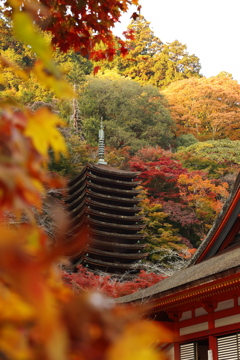 十三重の塔