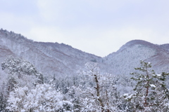 雪化粧2