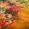 談山神社