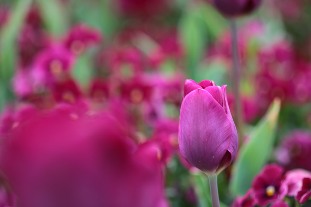 IMG_0061