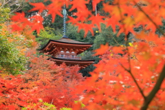 浄瑠璃寺　三重塔