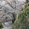 桜坂