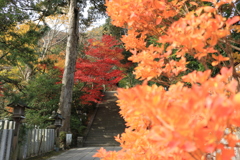 一言主神社の階段