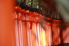 千本鳥居