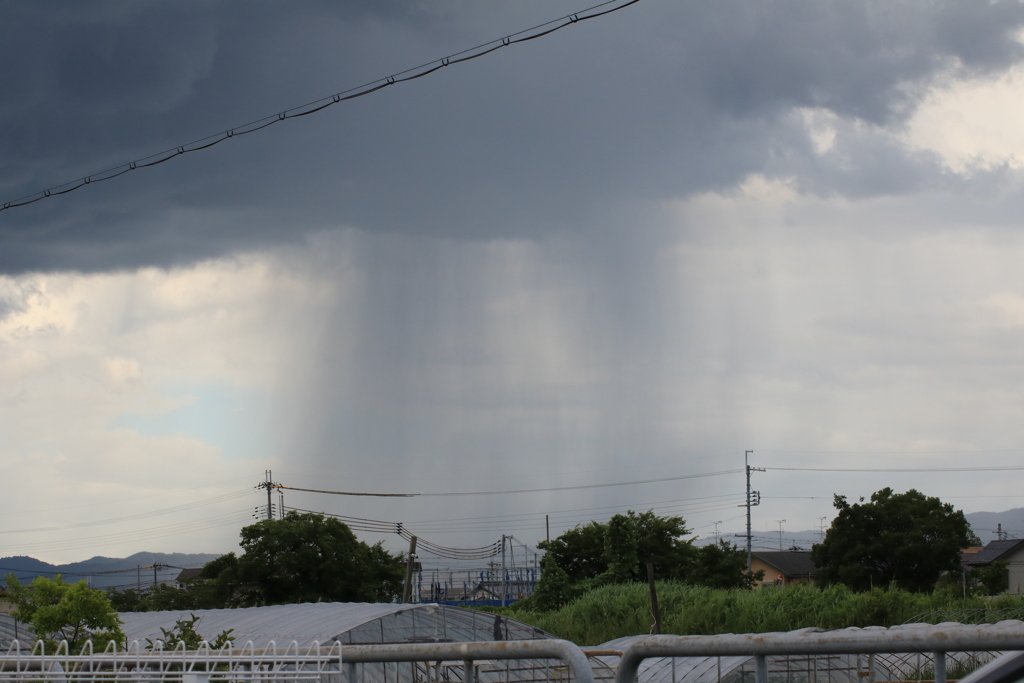 集中豪雨