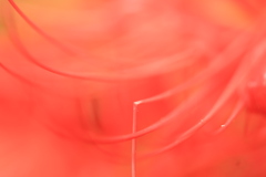 折れて
