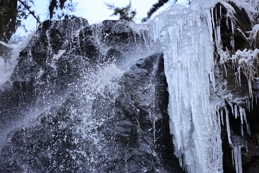 solid and liquid