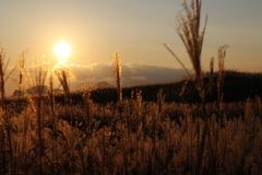 高原の夕日