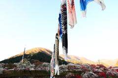 天 仰ぐ