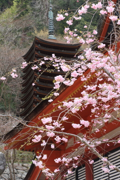 談山神社