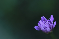 0U1A8591
