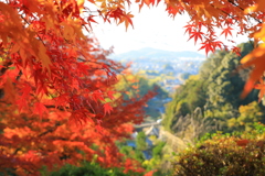 眼下