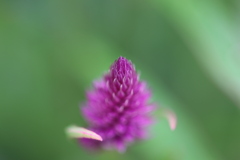0U1A8752