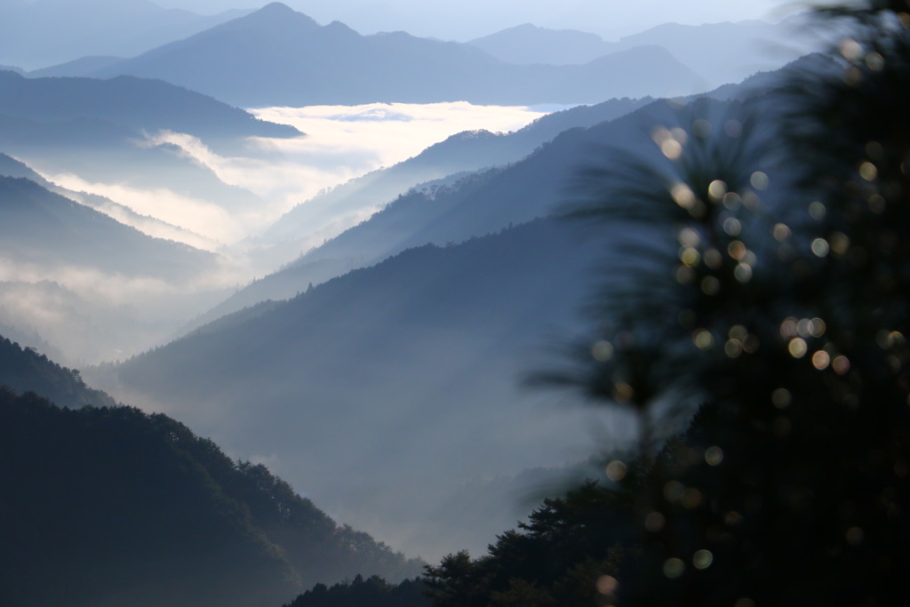 野迫川村 雲海