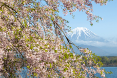 ちょっとひとやすみ