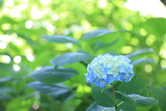 君、きれいだね