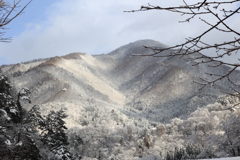雪化粧