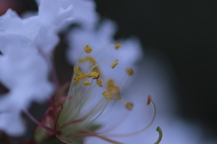 0U1A5952