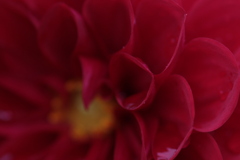 0U1A6719