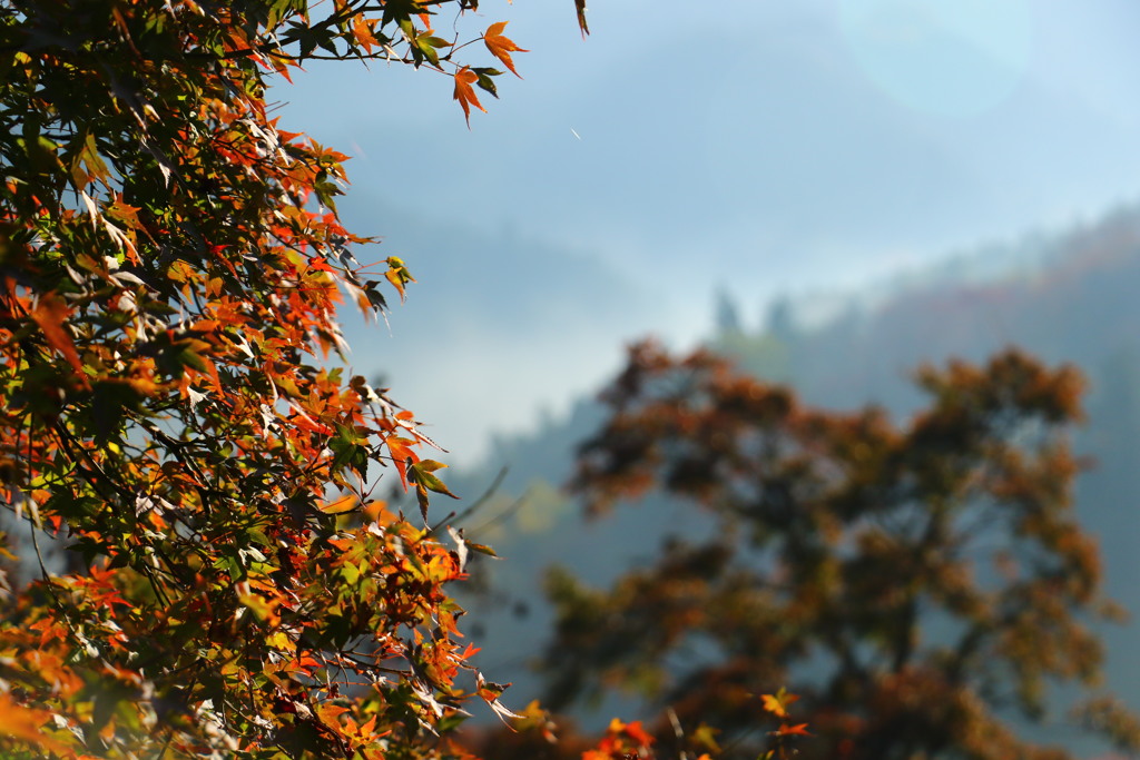 吉野山