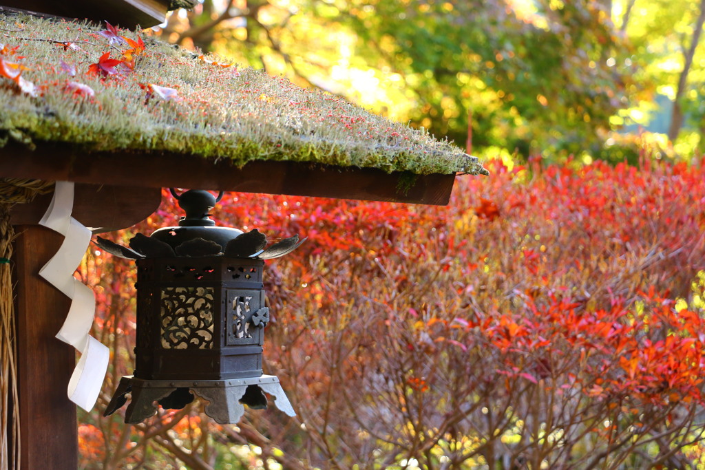 談山神社