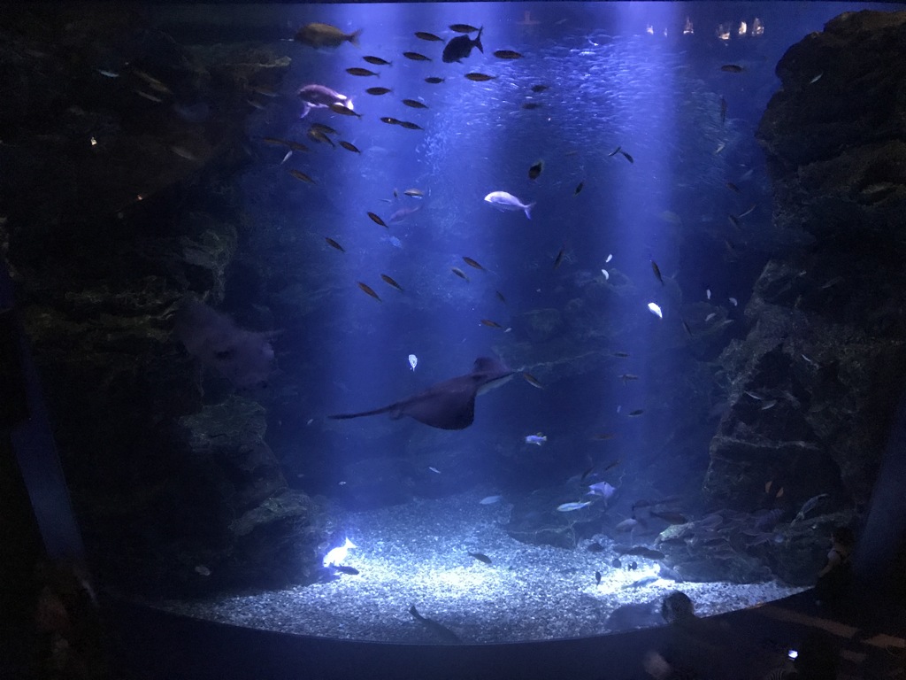 水族館