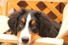 3DD24C29-3CC5-4EE6-BF60-562544A25D78