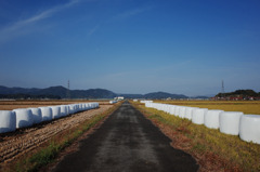 道